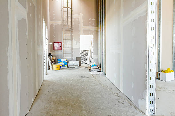 Best Basement Mold Removal  in Goose Creek, SC
